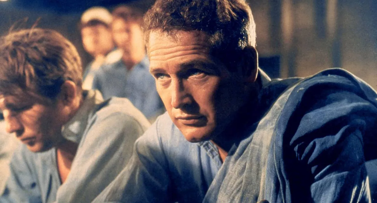 Paul Newman: The Restless