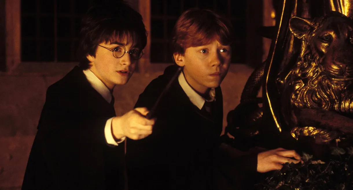 Harry Potter and the Chamber of Secrets