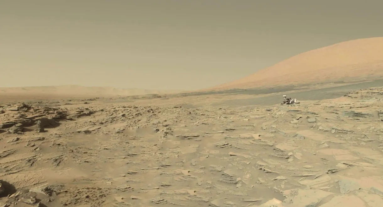 The Voyage of Curiosity