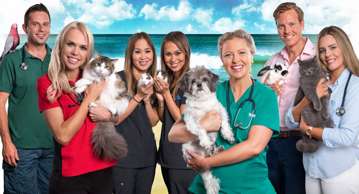 Bondi Vet: Coast to Coast