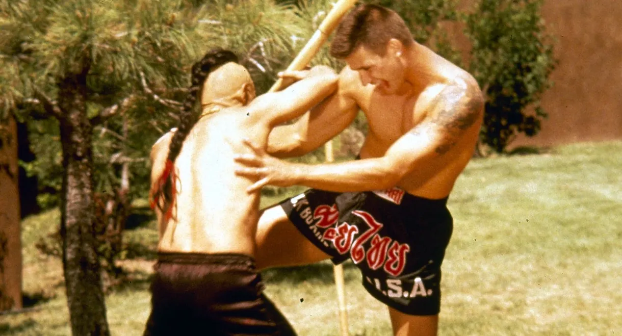 Kickboxer 4: The Aggressor