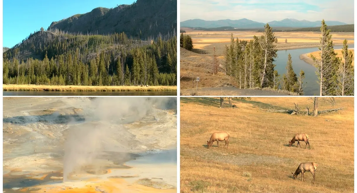 World Natural Heritage USA: Yellowstone National Park