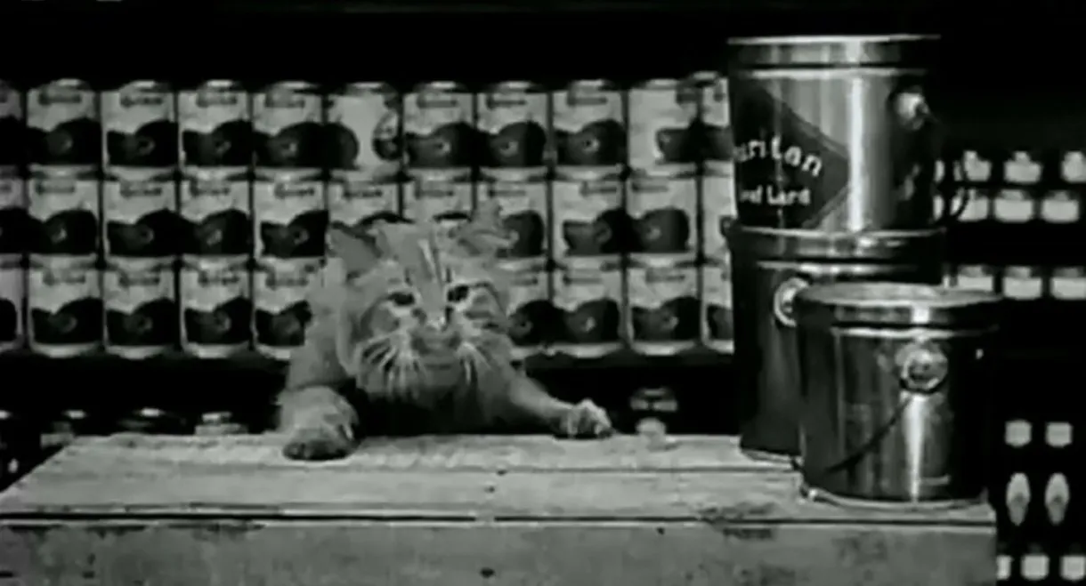 The Grocery Clerk