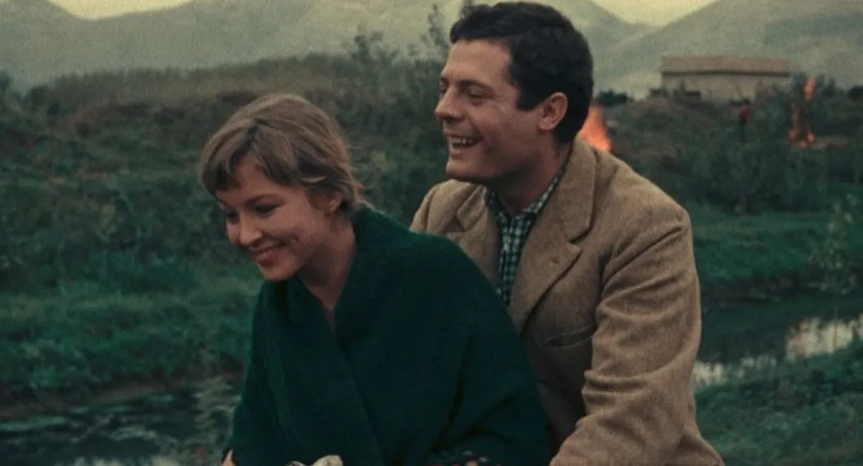 Days of Love