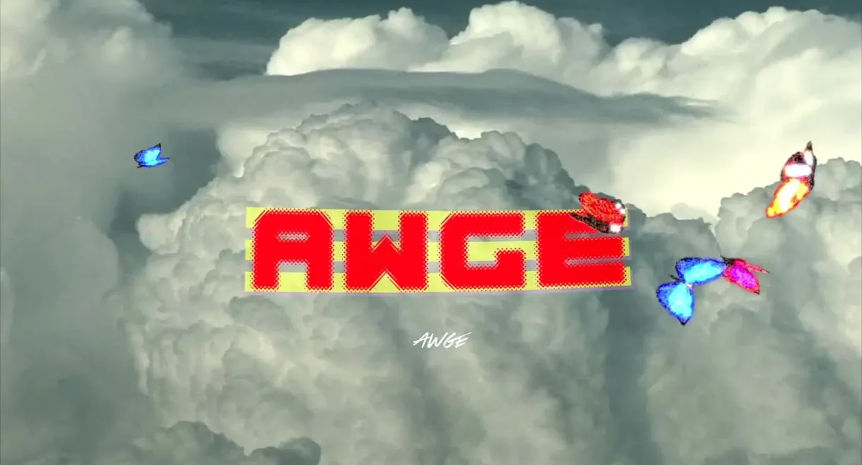 AWGE DVD: Volume 2