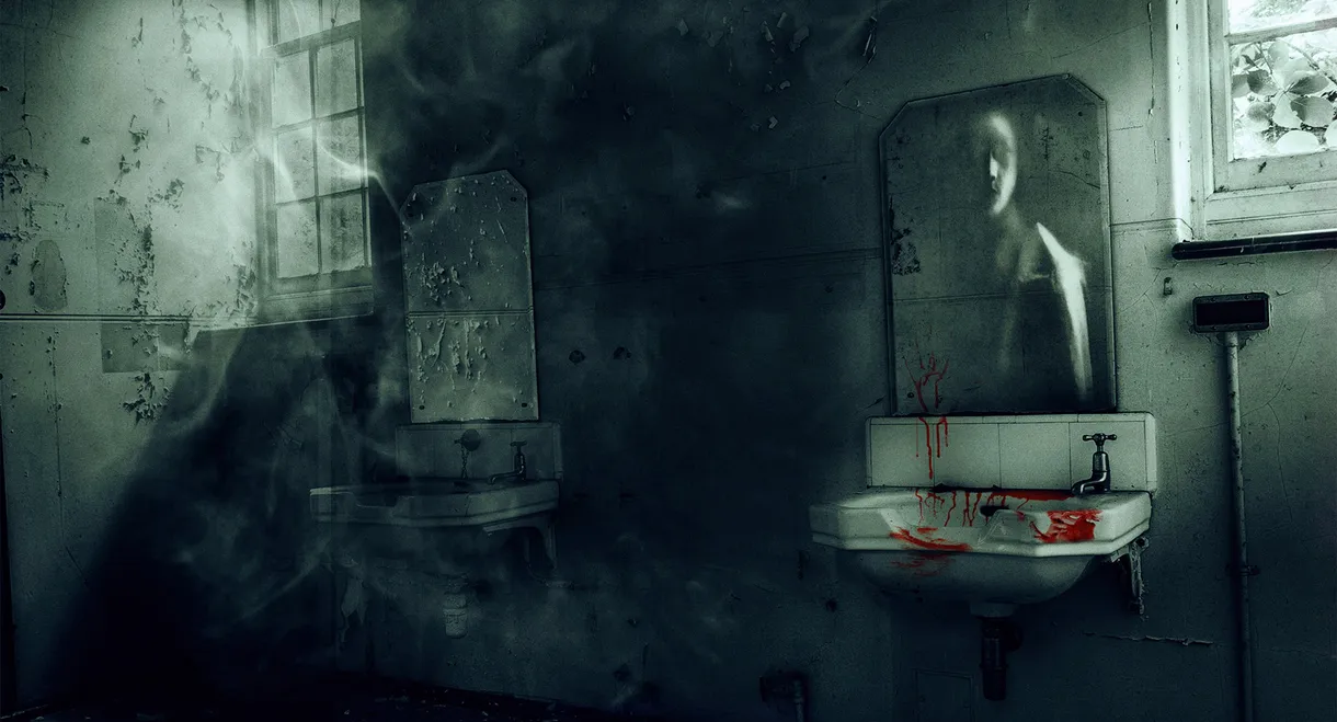 Investigation 13