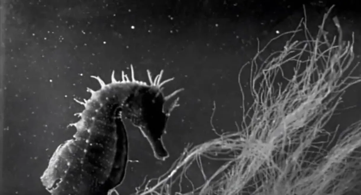 Science Is Fiction: The Films of Jean Painlevé