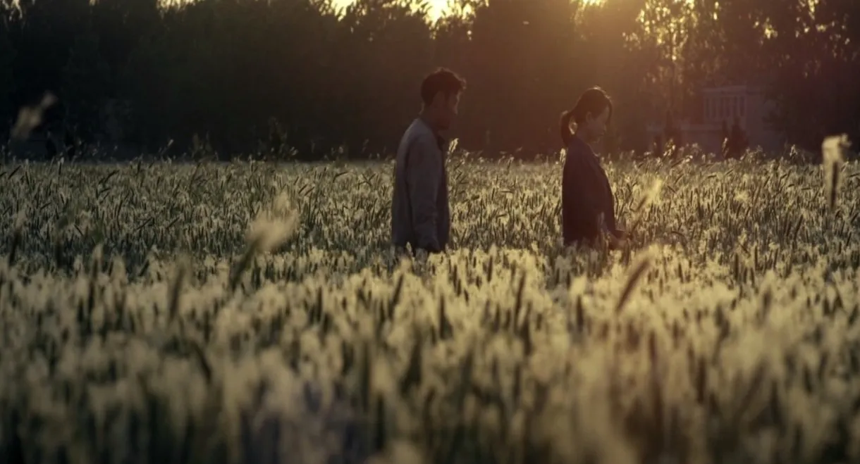 The Wheat