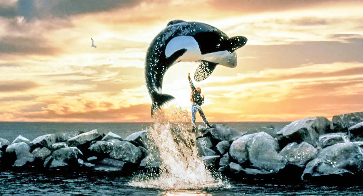 Free Willy