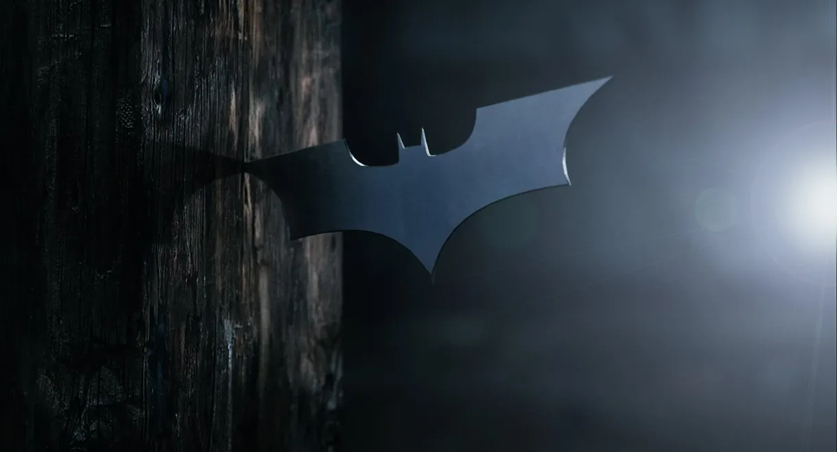 Batman Begins