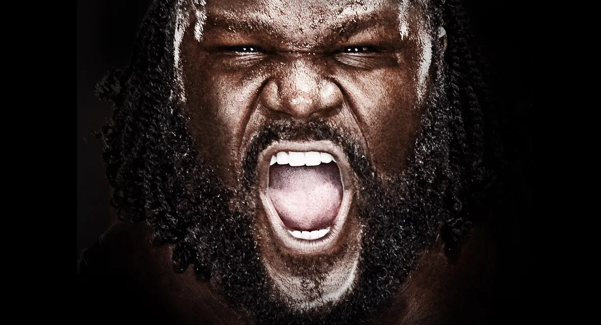 WWE Vengeance 2011