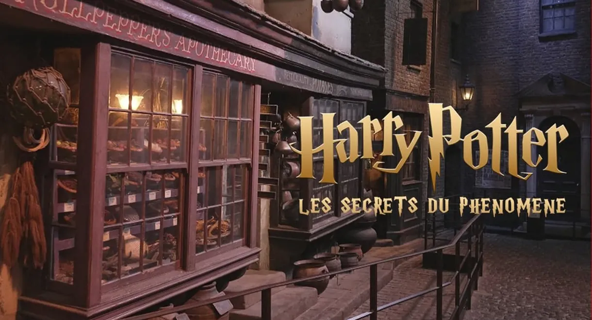 Harry Potter : les secrets du phénomène