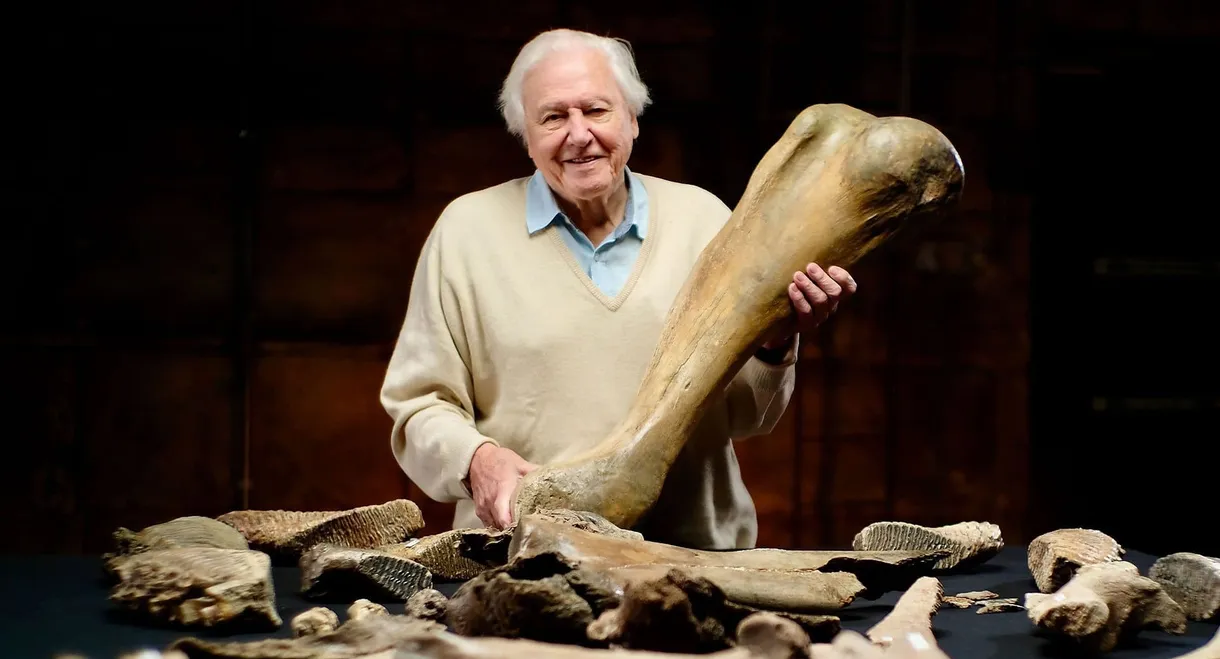 Attenborough and the Mammoth Graveyard