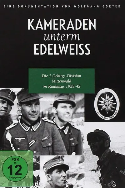 Comrades under Edelweiss