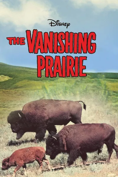 The Vanishing Prairie