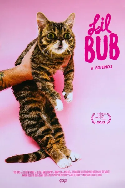 Lil Bub & Friendz