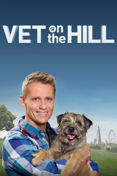 Vet On The Hill