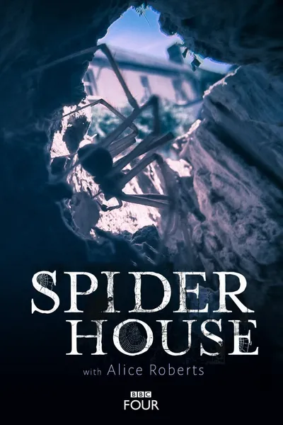 Spider House