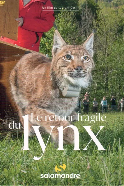 The Fragile Return Of The Lynx