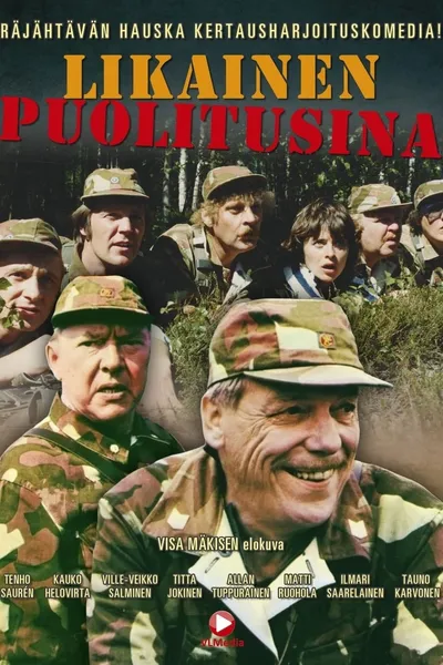 Likainen puolitusina