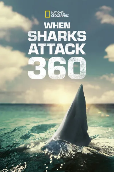 When Sharks Attack 360