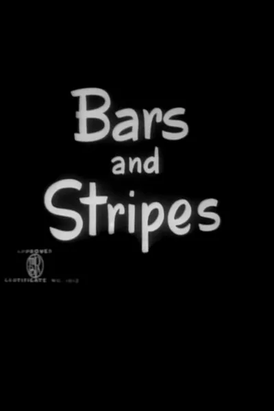 Bars and Stripes