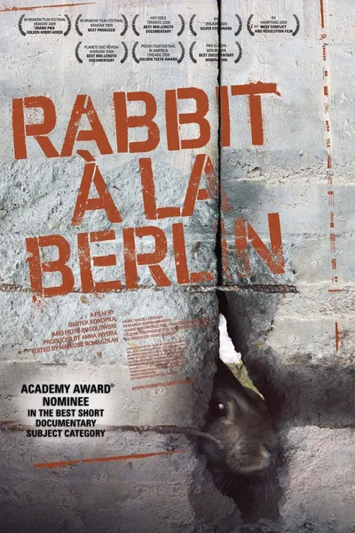 Rabbit à la Berlin