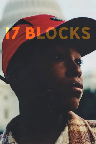 17 Blocks