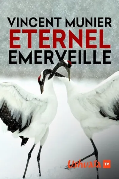 Vincent Munier, éternel émerveillé