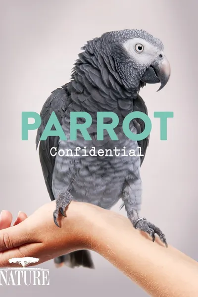 Parrot Confidential