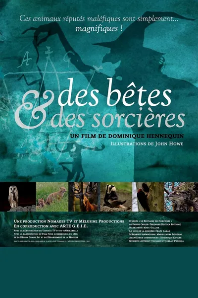 Des bêtes et des sorcières