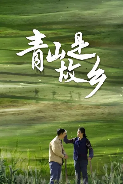 青山是故乡