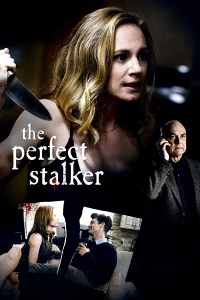 The Perfect Stalker