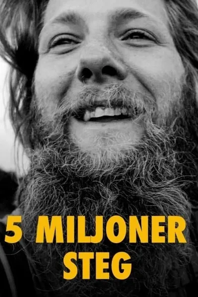 5 miljoner steg