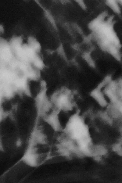 Portions of Light,  A Section