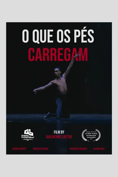 what do feet carry?