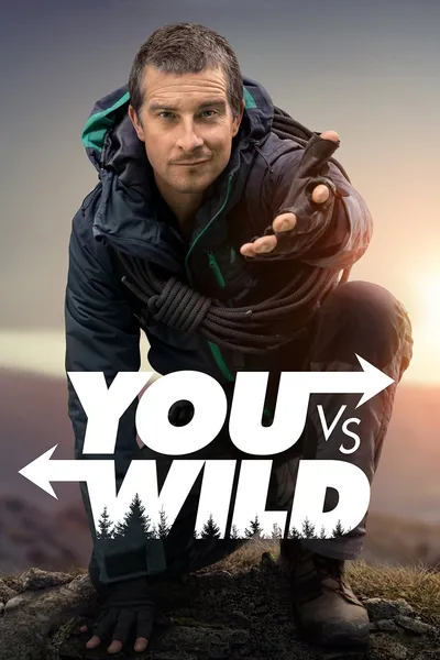 You vs. Wild