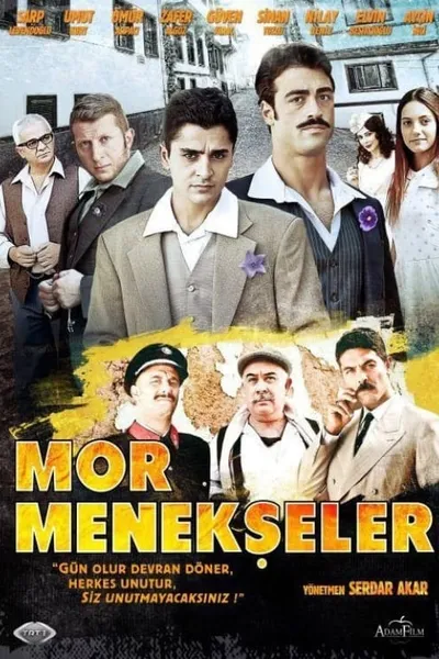 Mor Menekşeler