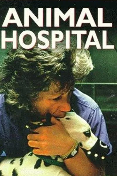 Animal Hospital