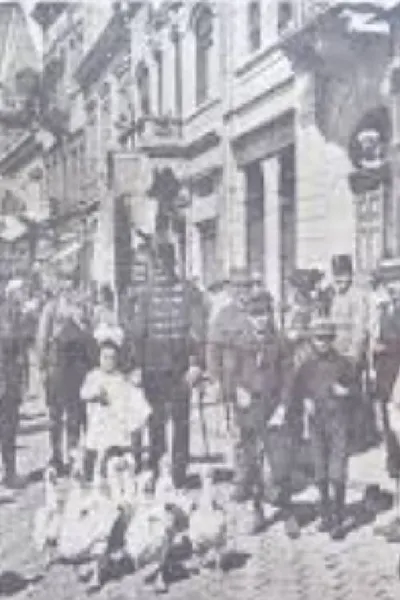 Main Street of Kosice on the Theatre Screen