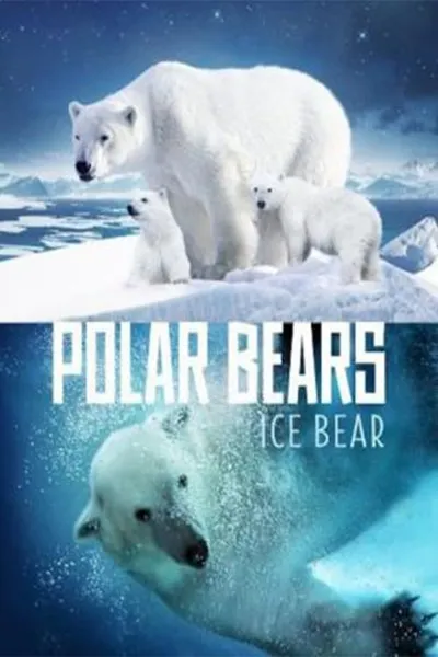 Polar Bears: Ice Bear