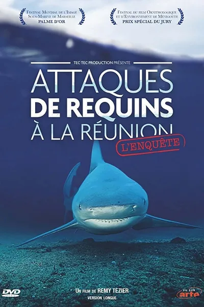 Attaques de Requins à La Réunion : L'enquête