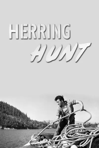 Herring Hunt