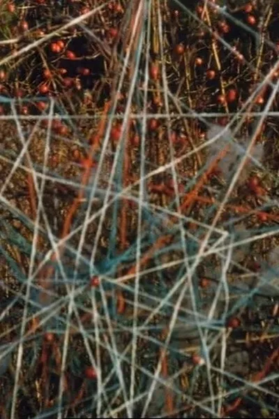 Toying with Strings