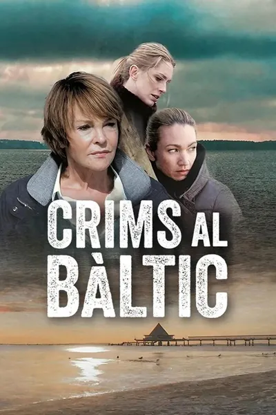 The Nordic Murders