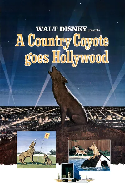 A Country Coyote Goes Hollywood