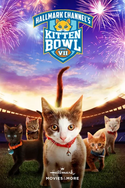 Kitten Bowl VII