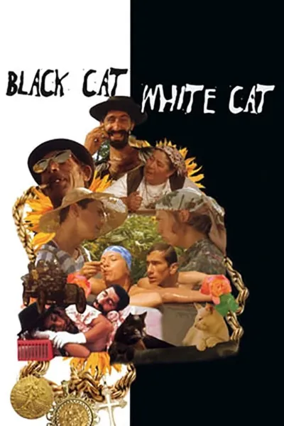 Black Cat, White Cat