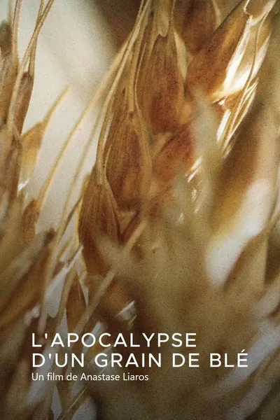 L'apocalypse d'un grain de blé