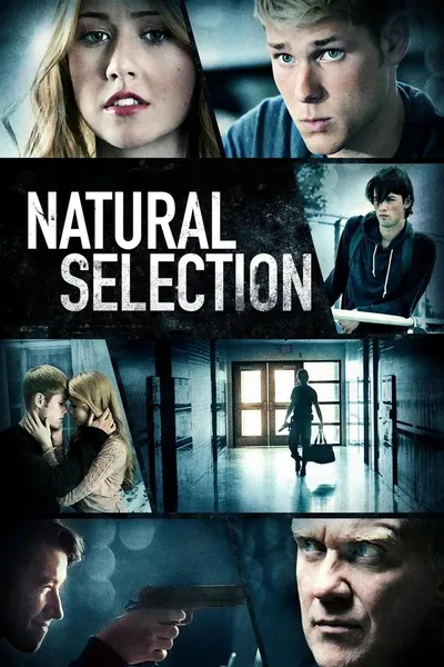 Natural Selection